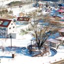 제44차 12월 19일 분천 싼타마을 기차여행 공지 이미지