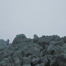 나무쉼터 이미지