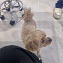 덕진-54 | 전주피부관리 주근깨 때문에 방문한 오로라숲 멜라아웃 솔직 후기