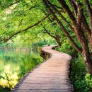 hong car service 이미지