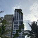 에이바호텔제주주식회사 | [베트남_다낭&amp;호이안] 3박 4일 : M 호텔 다낭 후기(feat. 룸, 수영장, 헬스장)