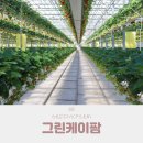 오성그린농장 이미지