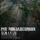 피자팜비어 | 현풍 계곡카페 카페담&피자팜비어 포레스트점 가격 내돈내산 후기