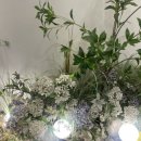 별채주안점 이미지