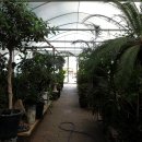 명일농장 이미지