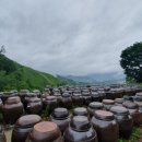 번암죽림정사로 이미지