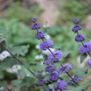 연일공원 이미지