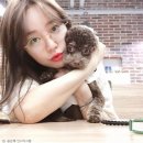 기쁨