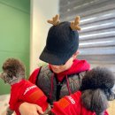 개버드 스쿨 이미지