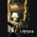 스테이외송 이미지