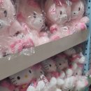 [인천 가좌] 누리플러스 누리프렌즈 다녀온 후기🐯