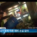 청춘물고기 이미지