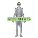 미그루한의원 이미지
