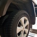 모터스DW 이미지