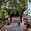 서울놀이마당 상설정기공연 이미지