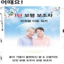 느영나영여행사