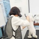 드림 동물병원 | 동물병원코디네이터 연봉 솔직하게 알려드림(현실)