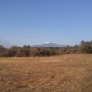 제주가원 이미지