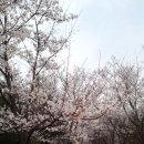 심준보한의원 이미지