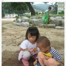 주상초등학교 이미지