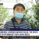 (주)엘엔티이 이미지