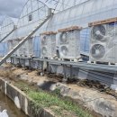 수열농장 이미지