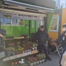 강서구-3 이미지