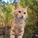 황금2동주민센터 이미지