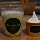 선학골프 | 혼마 4스타 파크골프채 매장에서 구입하지 않은 이유