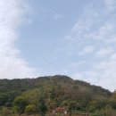 이종흔안과 네이버블로그
