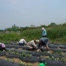 세진농장 이미지