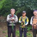 귀인한의원 이미지