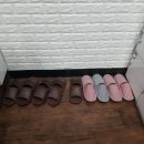 파리바케트( 수원대 ) 이미지