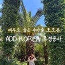 제주 숨은포토존 : 에이디디코리아 조경공사 무료개방후기 (수리남, 뉴진스 촬영지, 제주 야자숲, 야자...