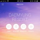 대명비발디파크 네이버블로그