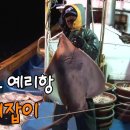 쌈지부전