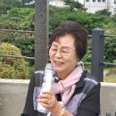 김향진
