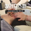 Point - 원형 | 금정구 장전동 미용실 부산헤드스파 컬러드스파 부산대점 후기