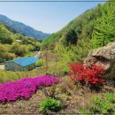 광야공인중개사사무소 이미지