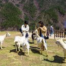 좋은목장 이미지