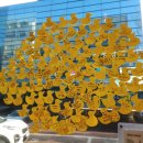 크로플덕 오리아가씨 이미지