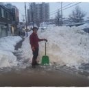 정월대보름인 오늘 우직지계는 동해폭설현장에서 제설작업 이미지