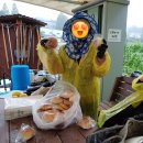 귀농농장 | 천안 도시농부학교9기 19주 차 후기, 여름 텃밭 정리, 주말농장, 텃밭 가꾸기, 귀농 귀촌