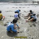 [용신마을]독살체험 네이버블로그
