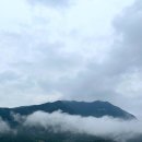 청춘소바 이미지