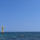 세븐일레븐 강릉사천진리점 이미지