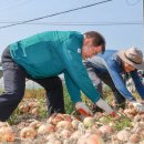 산청엔무용단 이미지