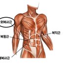 (주)서대전공업사 | 오류동필라테스 비욘드필라테스 서대전점 1:1 PT 대전 임산부 필라테스 추천 8회차 후기