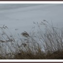 기다리는 마음 이미지