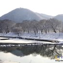 여행사랑 - 거제시 장평로 7 | 여행사랑